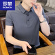 罗蒙（ROMON）白色冰丝短袖t恤男夏季薄款潮流修身半袖体恤休闲纯色带领polo.衫 1365白色 XL (约115~135斤可穿)