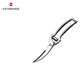 VICTORINOX Slightly Flawed Kitchen Utensils Kitchen Utensils Scissors Chicken Bone Scissors Steel Color 7.6345