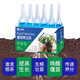 Aishangke plant regenerator universal concentrated nutrient solution powerful germination, rooting and seedling resurrection liquid dead tree flower universal type 18g 6 bottles in a box