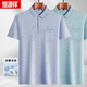 Hengyuanxiang (HYX) middle-aged men's lapel short-sleeved T-shirt daddy suit summer thin polo shirt middle-aged and elderly ice silk half-sleeved men old man T ice silk-9851 gray real pocket M 48/165