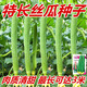 Long luffa seeds are planted in all seasons, early maturing snake-shaped luffa garden pots contain luffa, meat and vegetable seeds. The flesh is sweet. Long luffa seeds are planted all year round. Original 100 capsules. 95% selected.
