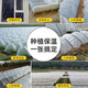 Runhuanian white transparent agricultural thickened small shed special film vegetable field insulation film winter 4 meters wide 4 wires thick agricultural small shed film 10 meters long