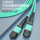 Guangchangxing (G.C.X) MPO-MPO telecommunications fiber jumper OM3/OM4 100G multimode 100G B polar female head flame retardant low smoke halogen-free support 40g optical module transceiver pigtail connection cable OM3 (12 core) 10/40/100G 2 meters