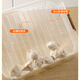Ye Yu Dumpling Box Refrigerator Freezer Box Multi-layer Frozen Dumpling Box Household Dumpling Box Dumpling Storage Box Large Capacity Green Anti-odor Transmission One Layer Without Cover Can Hold Approximately 20 Dumplings Without Sealing See Clearly