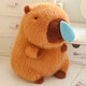 Beishangxing Kapibala dolls and dolls boys birthday gifts for women plush toys rag dolls snot piping dolls 43cm