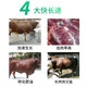 Ying1meier cattle and sheep feed additives for fattening, beef cattle fattening, growth-promoting fertilizer premix for fattening, fattening, fast lean meat, multi-shot 8 real hair 10
