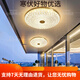 
OUOETY heart mirror full copper outdoor ceiling light villa entrance door ceiling light simple aisle terrace balcony lamp waterproof courtyard X38 X3895-400/round shape