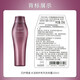 Shiseido Professional Hair Core Care Road Tau und Farbschutz Shampoo 250 ml Verzögerungen verblassen [unerwartete Freigabe]