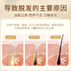 
Tongrentang Anti-Hair Depth Shampoo Ginger Hair Increase Anti-Hair Loss and Control Oils Fluffy Ginger Juice Solid Hair 508g*2 Bottles