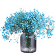 AIMAN dried gypsophila bouquet for home decoration, living room and bedroom decoration, flower arrangement, eternal freshness, birthday gift with vase, white gypsophila + glass bottle, dried flower bag