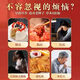 
Beijing Tongrentang Mulberry Leaf Corn Shave Tea Green Money Willow Burdock Pueraria Cassia Cassia Health Tea [Beijing Tongrentang] Genuine (anti-counterfeiting mark can be [1 box] Upgraded package (total 40 small packets)