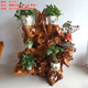 Xushansen Squêtement sculpté en bois massif racine nature naturelle Racine Ornement salon Bonsaï Camphor Wood Flower Pot Stand Art H6189