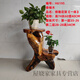 Xushansen Squêtement sculpté en bois massif racine nature naturelle Racine Ornement salon Bonsaï Camphor Wood Flower Pot Stand Art H6189