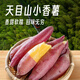 Jingxiansheng Lin'an Tianmu Mountain Small Sweet Potatoes, net weight 5Jin Jin is equal to 0.5kg, single fruit is about 100-200g, sweet, soft and waxy, with thin skin, straight from the source