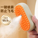 Pet cat and dog spray massage comb steam comb brush cat hair cleaner remove floating hair no-bath cat comb milk coffee rechargeable + lickable no-wash essence