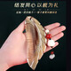Enchanting cat hairpin hairpin headwear for women high-end 2025 antique style hairpin hair accessories for women birthday gifts for girls niche high-end