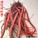 
Beijing Tongrentang [1047 people collect] Salvia miltiorrhiza fresh whole piece is now dug and shipped to ensure natural authentic fresh Salvia miltiorrhiza special grade. Salvia miltiorrhiza digging 500g