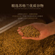 路易马西尼苏格兰洋酒威士忌40°烈酒酒吧可乐桶调和型微醺自饮调酒聚会 卡尔夫人整箱装700mL*6