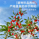 Zhongning wolfberry, special red wolfberry 500g, free washing stubble soaked tea, special wolfberry 250g*2 bags