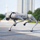 Yushu (Unitree) Yushu Robot Dog Unitree Voice Ai Big Model Robot Robot Perro electrónico Perro Remogrado Compañero Bionic Companion Robot de cuatro patas + control remoto GO2-Pro + Control remoto + Batería larga