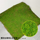 Elegant artificial moss decoration landscaping artificial turf window display moss micro landscape fake green plant bonsai coconut palm silk yellow green immortal moss about 1m*1m