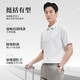 Siete Wolf [AI Bingfeng] Camisa de manga corta para hombres en verano Feel Feeling, antibacteriano, sin escaladera, anti-madrugadores y fácil de cuidar la camisa de negocios para hombres