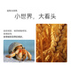 
Huawei (HUAWEI) Pura 70 Beidou Satellite News Edition Second Generation Kunlun Glass Huawei Hongmeng Smartphone YX55 Pura 70 Beidou Satellite Edition - Snow White 12GB+512GB Official Standard
