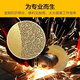 An Junsheng brazing cutting piece marble stone brazing piece quartz stone saw blade glass jade blade cutting machine angle grinder brazing opening type buy 5 get 2 pieces free