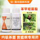 Guoguang Huixiu 32.5% azoxystrobin anthracnose special medicine for vegetables, fruit trees and flowers pesticide fungicide 100g
