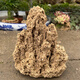 Fine small water stone bonsai rockery absorbent stone micro landscape decoration strange stone ornaments natural original stone about 17-22cm plus plate plus grass seeds with stones