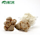 福万家三七20头三七 250g 定制主根打粉 文山三七粉 20头打粉