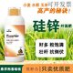 Special foliar fertilizer for nursery, insect-proof, strong pole, shortening cycle, nutritional balance, amino acid fertilizer, suspended silicon, dual-source amino acid suspended silicon zinc, 2 bottles