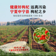 Yuqifu Ningxia Wolfberry 500G Zhongning Spezialität Erste rote Wolfberry Authentische schwefelfreie Goji-Beeren Gesundheitstonik