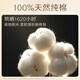 高洁丝【纯棉新品】臻选阳光烘烘卫生巾240mm8片*8包日用组合姨妈巾
