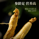 1 Frisch Ginseng in Banshan Agricultural etwa 40 Gramm. Die Spezialität des Nordostchina Changbaumsan Ginseng. Medizinische Materialien und Älteste Tonic Nutritional Products.