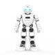 Ublic Artificial Intelligence Humanoid Roboter Nanny AI Toy Story Machine Begleitende Chat und lernen Kinderprogrammierstudenten Baby frühkindliche Bildungsmaschine 0-3 Jahre alt Kinder erhalten 130 Populär-Wissenschaftsprogramm-Kurse
