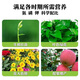 Compound fertilizer nitrogen, phosphorus and potassium general fertilizer ternary compound fertilizer flower fertilizer general chemical fertilizer for vegetables, flowers and fruit trees Compound fertilizer 5Jin Jin is equal to 0.5kg, the concentrated type is five times more effective