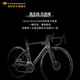 Pardus Spark Rs Speed ​​Uni-Electric Transformation 7170 Vélo de route Vente pneumatique Pneumatique Fibre de carbone Bicycle de disque d'huile intégré [roue en carbone] Massage Black Gold S (adapté à la hauteur 168-175 cm) Shimano Shimano 105 Di2