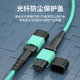 Guangchangxing (G.C.X) MPO-MPO telecommunications fiber jumper OM3/OM4 100G multimode 100G B polar female head flame retardant low smoke halogen-free support 40g optical module transceiver pigtail connection cable OM3 (12 core) 10/40/100G 2 meters