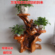 Xushansen Squêtement sculpté en bois massif racine nature naturelle Racine Ornement salon Bonsaï Camphor Wood Flower Pot Stand Art H6189