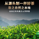 Zhengshanding Oolong Tee Schätze Mellow Phoenix Single Rose Duck Shit Duft Spezial mittelfeuer Geschenkbox Tee Qualität guter Tee [Streng ausgewählte Qualität] Spezielle Entenscheiße -Duft 500g Geschenktasche