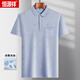 Hengyuanxiang (HYX) middle-aged men's lapel short-sleeved T-shirt daddy suit summer thin polo shirt middle-aged and elderly ice silk half-sleeved men old man T ice silk-9851 gray real pocket M 48/165