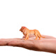 32 Wild Dschungel Simulation Tiermodell Set Spielzeug Kinder Dinosaurierspielzeug Tiger Lion Boy Geschenk (Insekt + Schmetterling + Vogel + Wild) 53 Geschenke