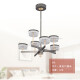 
Lace Lighting is launched Lace Berkeley LED chandelier series 12811 living room dining bedroom modern style voice 12 heads/140W/diameter 100 cm