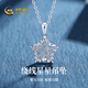 China Gold (CHINA GOLD) Star Platinum Necklace Women's Platinum Pendant Light Luxury and High-Level 520 Valentine's Day Gift for Girlfriend and Wife's Birthday Platinum Star Pendant* with Silver Chain