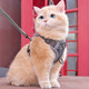 Pet cat leash, cute vest-style harness, anti-breakaway when going out, adjustable cat leash, dog harness, gray M size, recommended 6-9 Jin Jin equals 0.5 kg