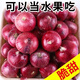 [Manger cru légèrement sucré] gansu jiuquan purppe oignon fraîche oignon rouge 5 Jin [Jin est égal à 0,5 kg] Végétables bon marché pour l'élimination du formaldéhyde, Onion de sélection de haute qualité 13586 Single 5 Jin [Jin est égal à 0,5 kg]