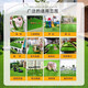 Hanoufei simulated lawn carpet, fake turf bedding, plastic outdoor artificial court, artificial fence, kindergarten green floor mat, 2 cm, newly upgraded 15-pin super-high-density secondary adhesive, anti-aging S-class model (2 meters wide, 1 meter long) 2 square meters (up to 25m, how long do you need to take a few pieces)