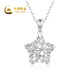 China Gold (CHINA GOLD) Star Platinum Necklace Women's Platinum Pendant Light Luxury and High-Level 520 Valentine's Day Gift for Girlfriend and Wife's Birthday Platinum Star Pendant* with Silver Chain