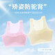 Modal 2-pack girls underwear for development primary school students' underwear for 9-12 years old thin vest large children and girls' bra
